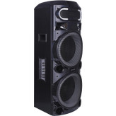 اسپیکر قابل حمل ZELMOND مدل PANA Z 2212 G